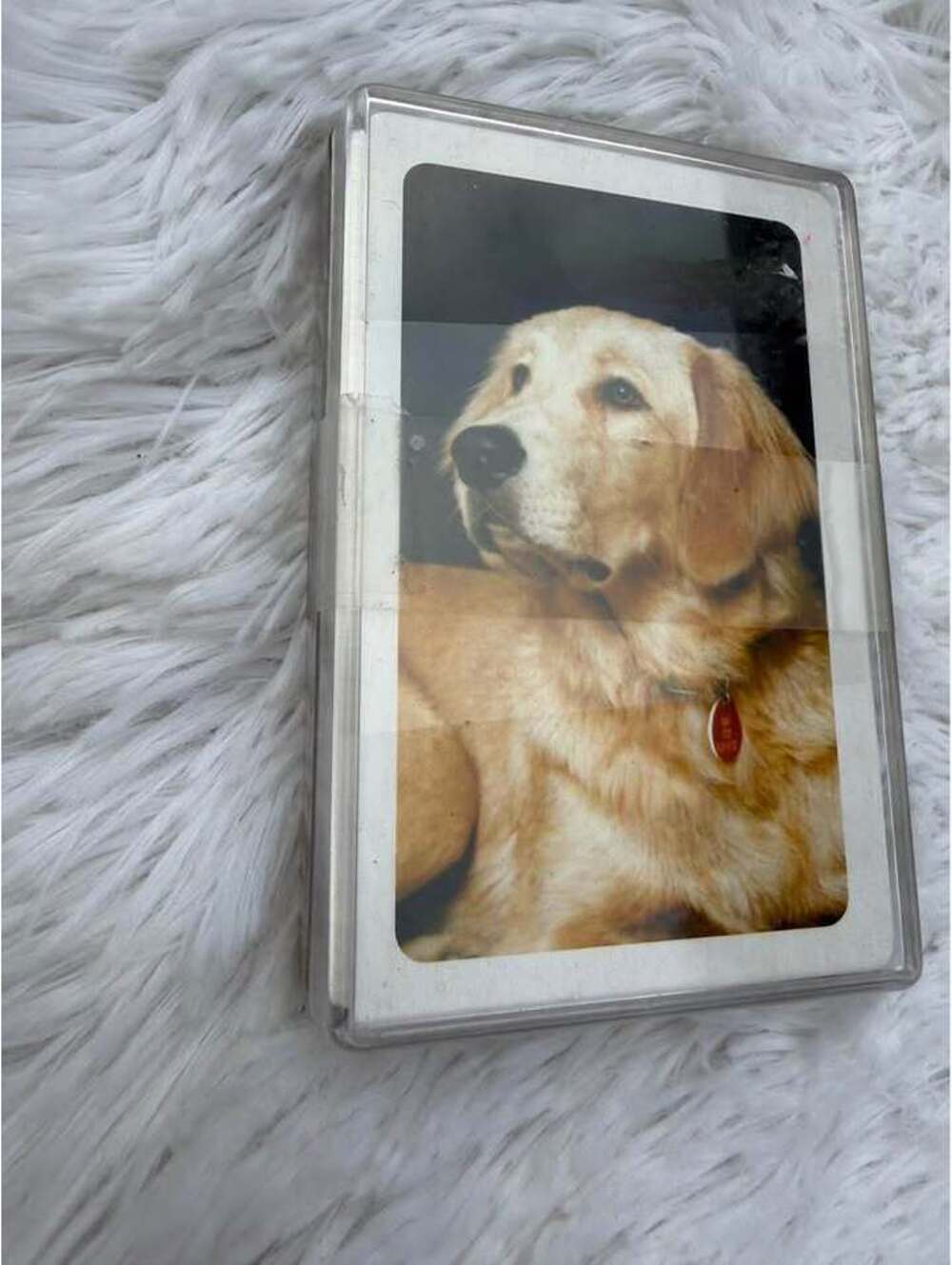 Vintage Golden Retriever Playing Cards Deck with Plastic Case